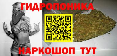 СК Нальчик