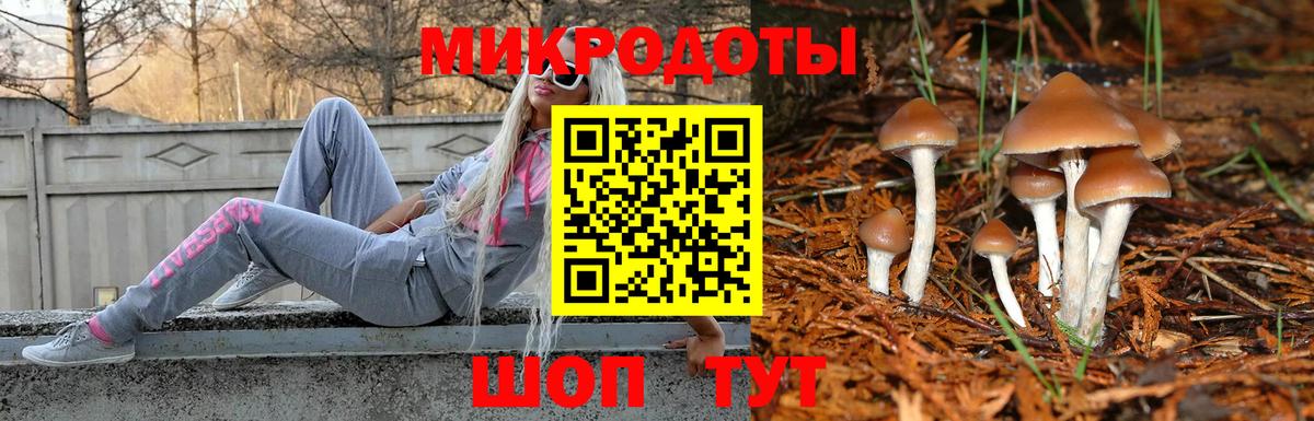 Алексин  Галлюциногенные грибы Cubensis  Вход с VPN 